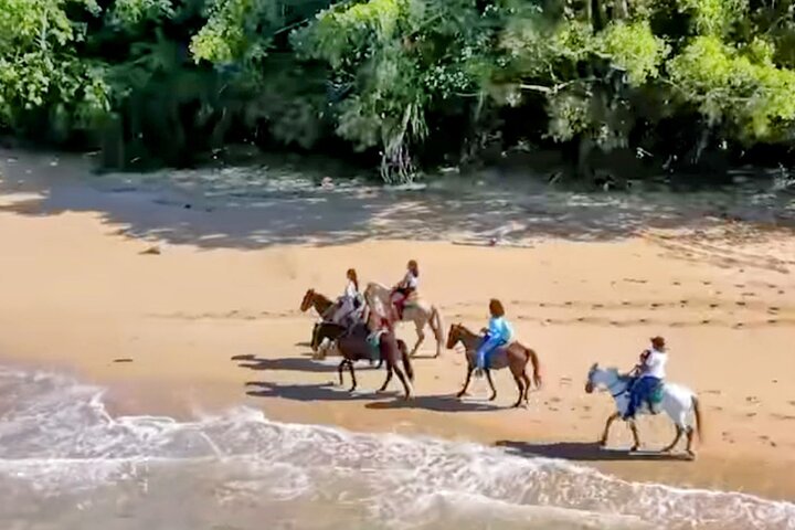 Speedboat & Snorkel Tour