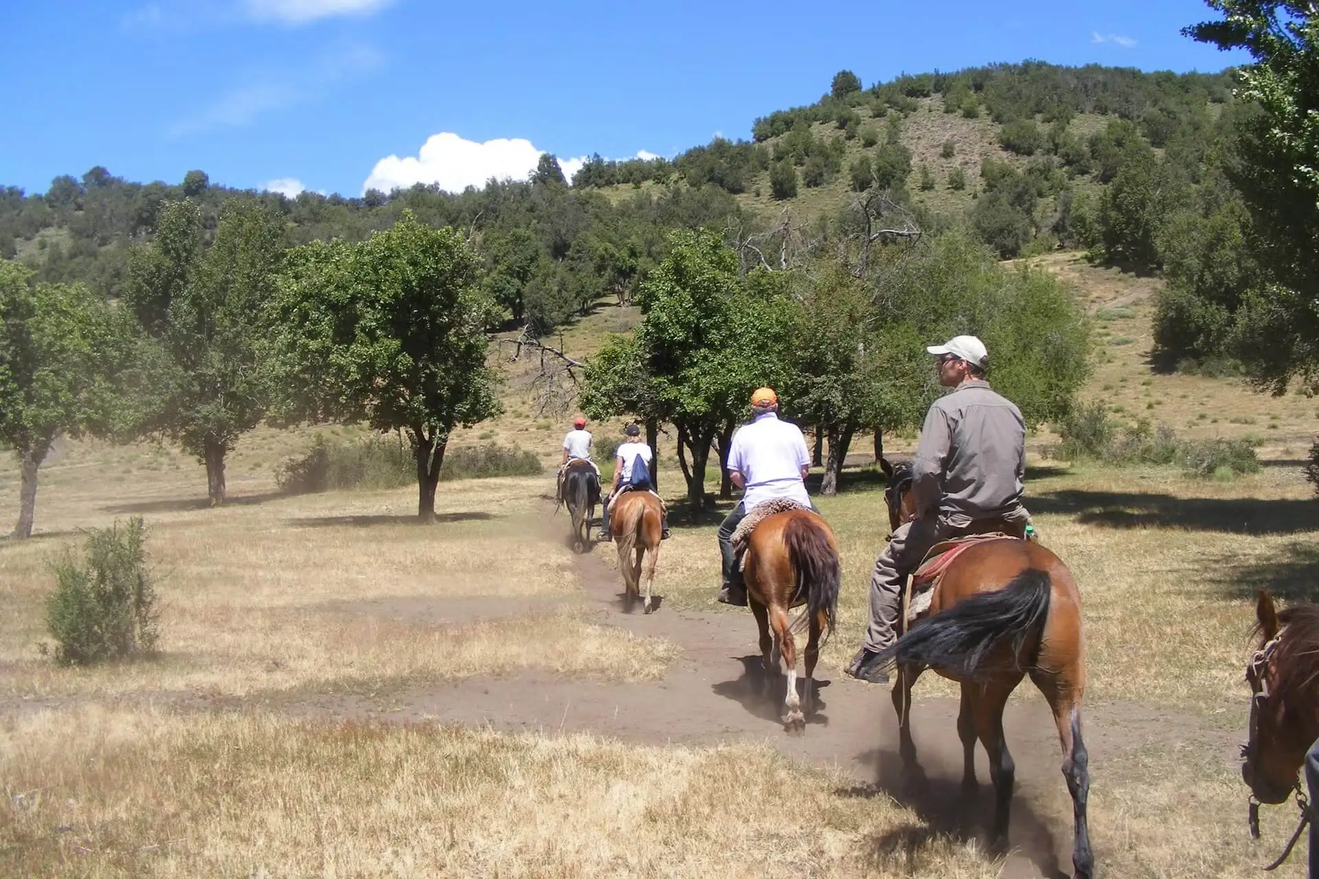 Horseback Riding at Rancho Salvaje Lorilar