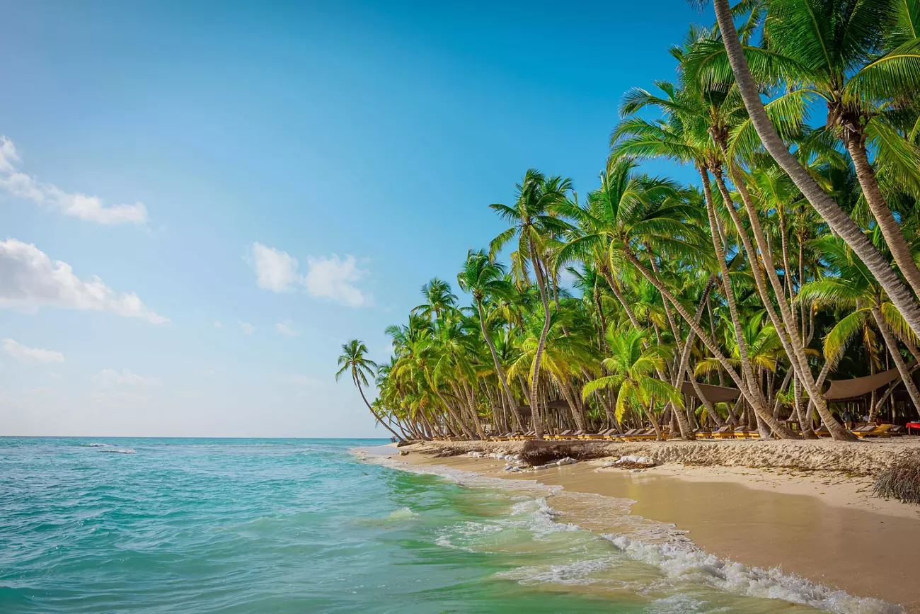 Saona Island Excursion